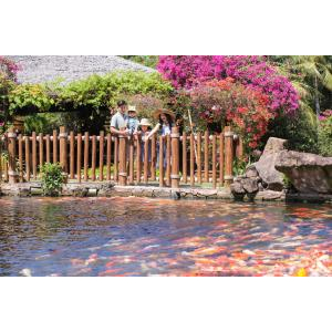 Chi tiết dịch vụ