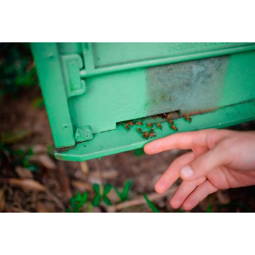 (TOUR RIÊNG) Chèo Thuyền Thúng Sông Cửa Cạn + Tham Quan Trang Trại Mật Ong