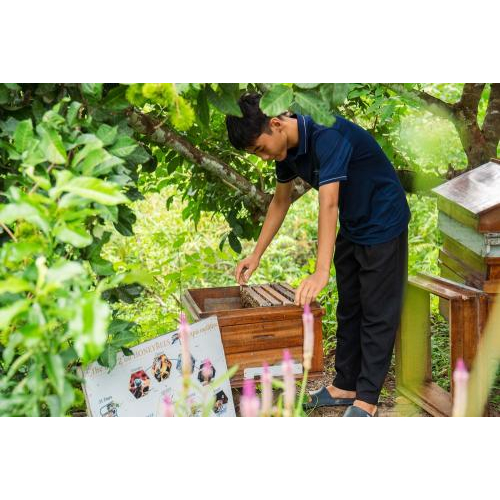 (TOUR GHÉP) Chèo Thuyền Thúng Sông Cửa Cạn + Tham Quan Trang Trại Mật Ong