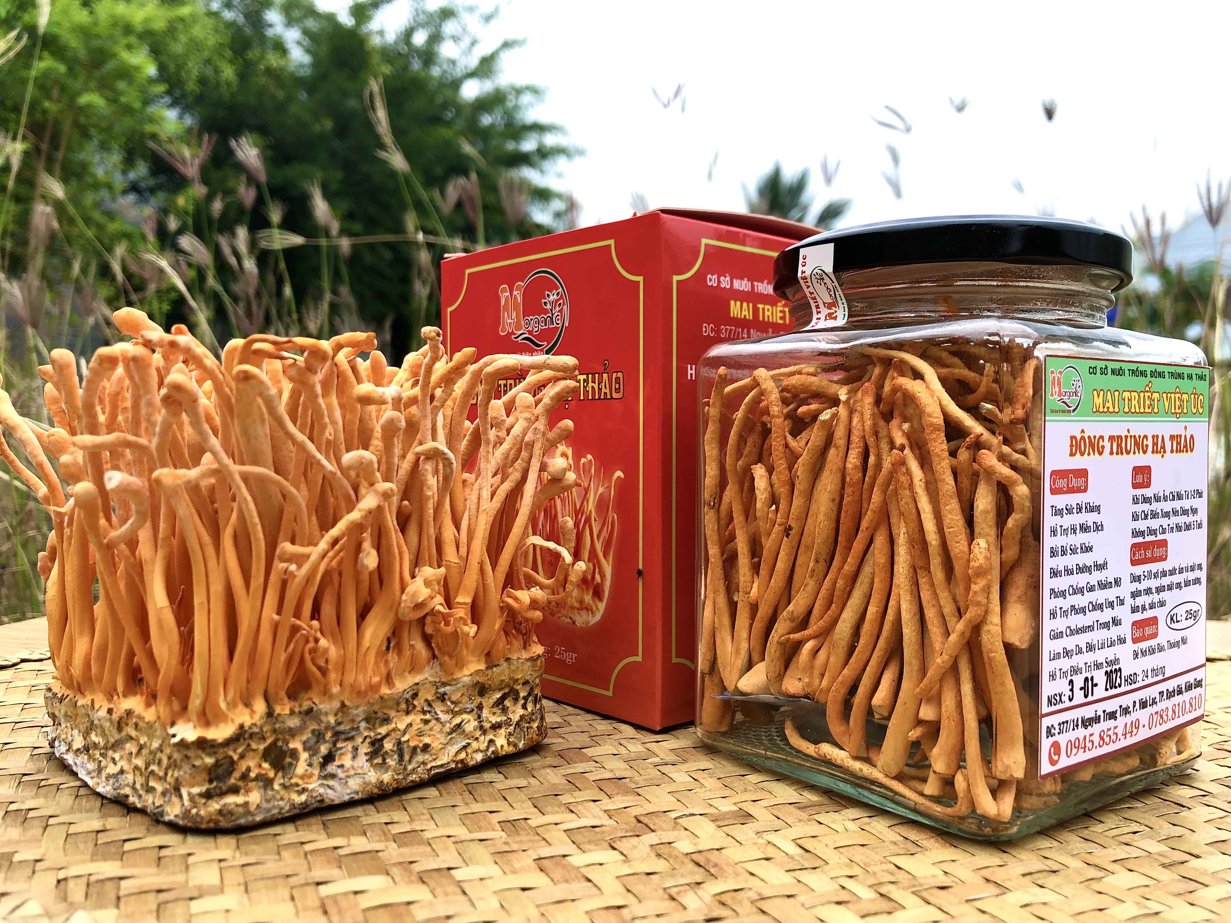 3. Cách sử dụng