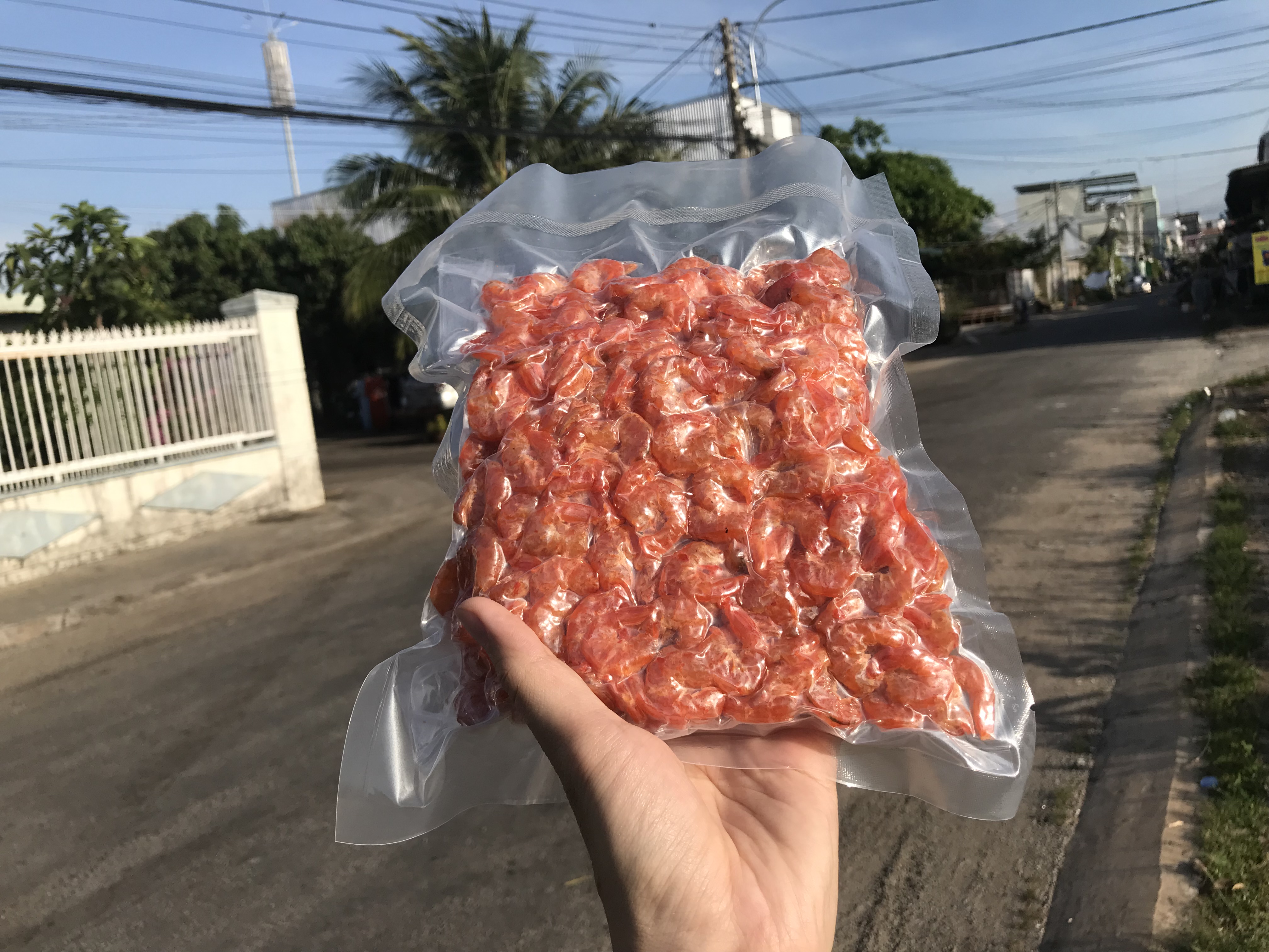 1. Giới thiệu về Tôm Khô