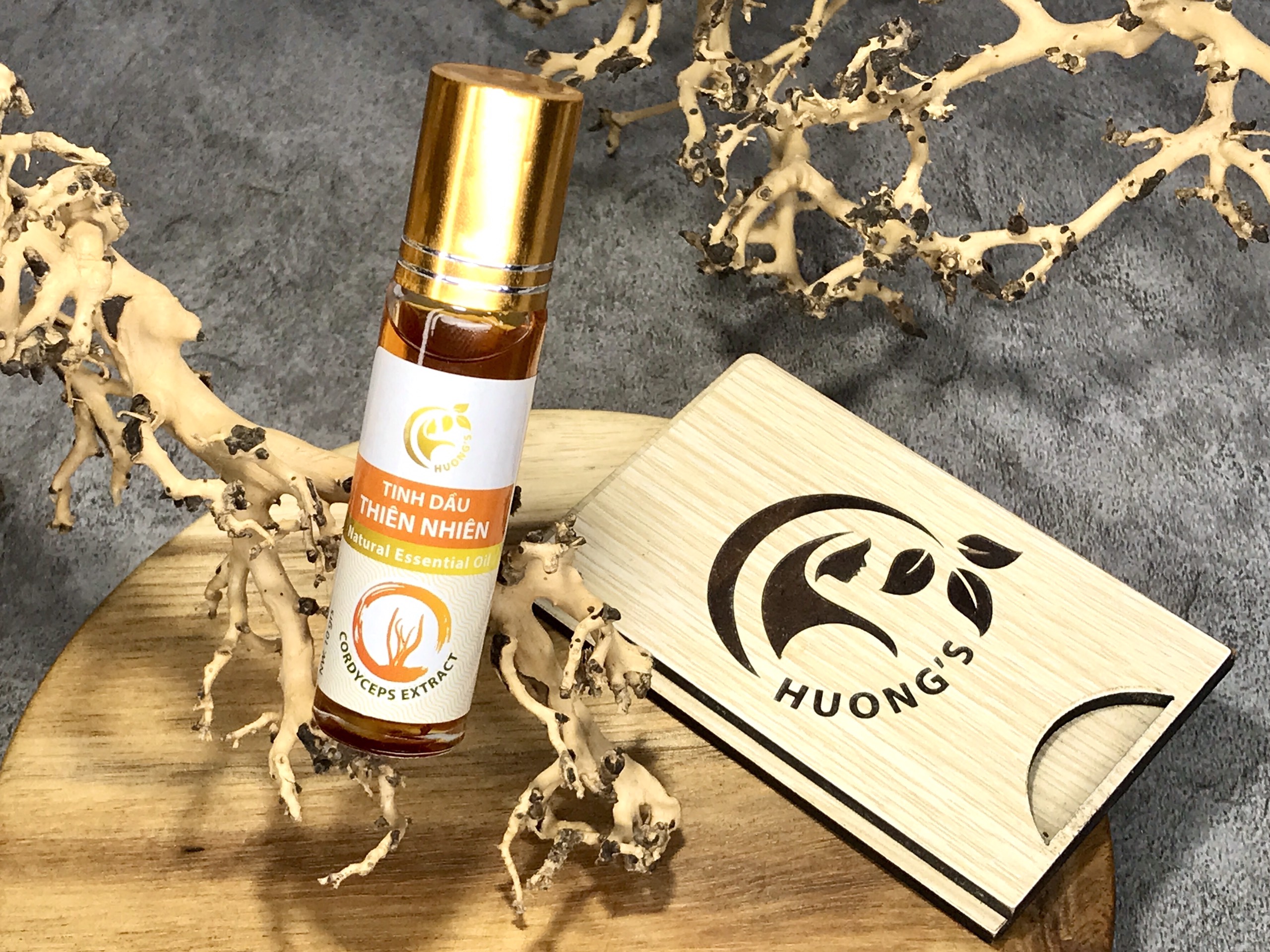 2. Thành Phần & Đặc Điểm Nổi Bật